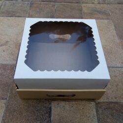 Caja 25x25x12 x5u. c/Visor