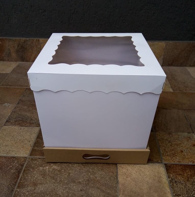 Caja 30x30x30 Con Visor X5u 2482