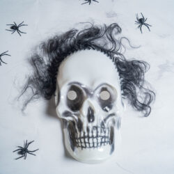 Careta Calavera con Pelo xU.