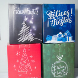 Cajas Maletín Navideñas 27x18x32 x10u.