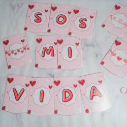 Banderín Sos Mi Vida