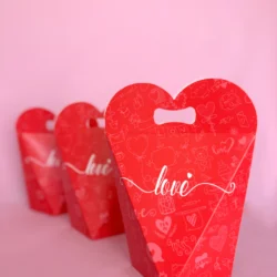 Cajas Estuche Prisma Love Rojas 19x19x7 x5u.