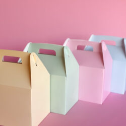 Cajas Cajita Feliz Lisa x5u.