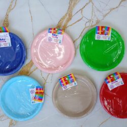 Platos Descartables 18cm x6u.