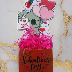 Caja Koala San Valentín con Viruta xU.