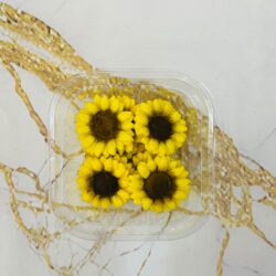 Flores de Azúcar Girasoles x10u.