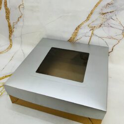 Tortera 30x30x10 con Visor y Base Blanca Liner Reforzada x5u. cod.1051