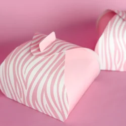 Caja Mini Torta 15x15x11cm - x5u.