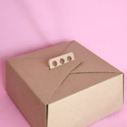 Caja de Torta Kraft 27x27x15cm - x5u.